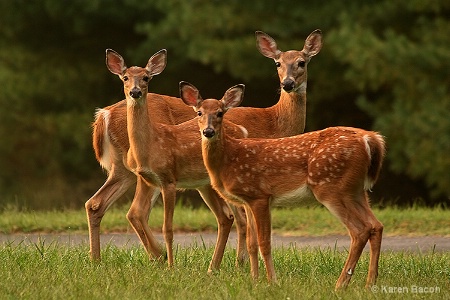 a family portrait