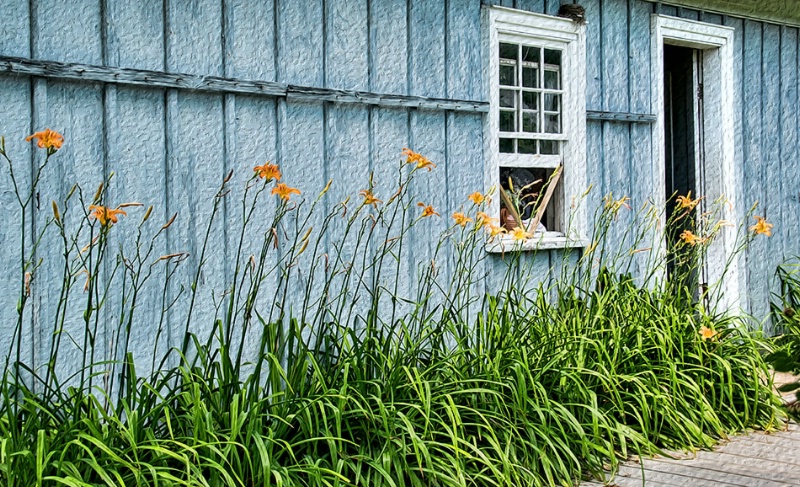 Day Lies Against a Wall of a House