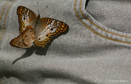 a butterfly stitch