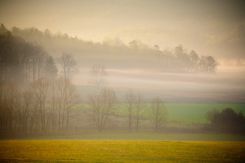 Tulle Fog