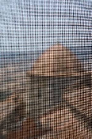 Volterra Baptistery Through Screen