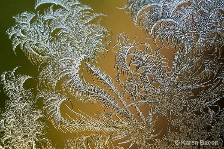 the frost that dances on my window sill
