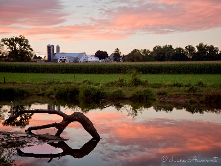 Amish Farm