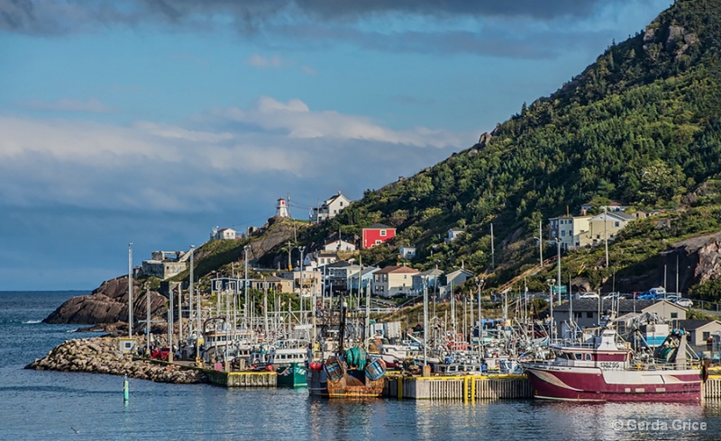 Fishing Harbour in Newfoundland