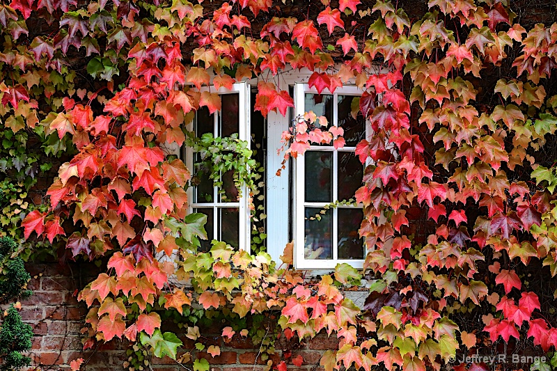 "Autumn Colors"
