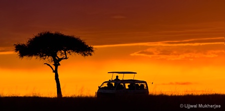 African Safari