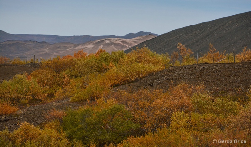 Colours of Autumn in Iceland