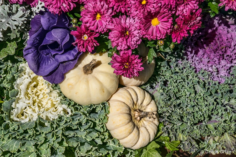 In an Autumn Planter