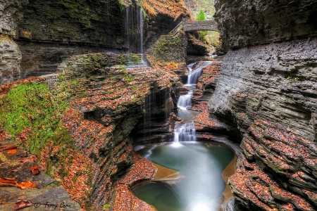 The Beauty of Watkins Glen