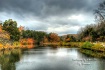 Before The Rain