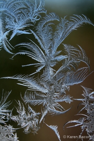 a little frost