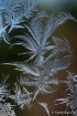 a little frost