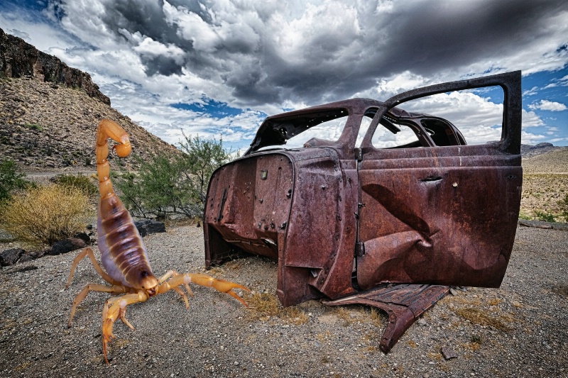 Junk Yard Scorpion
