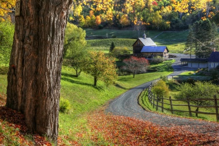 The Road to Sleepy Hollow