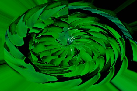 ABSTRACT IN GREEN