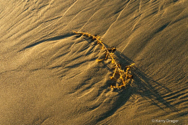 Close-Up Beach Design