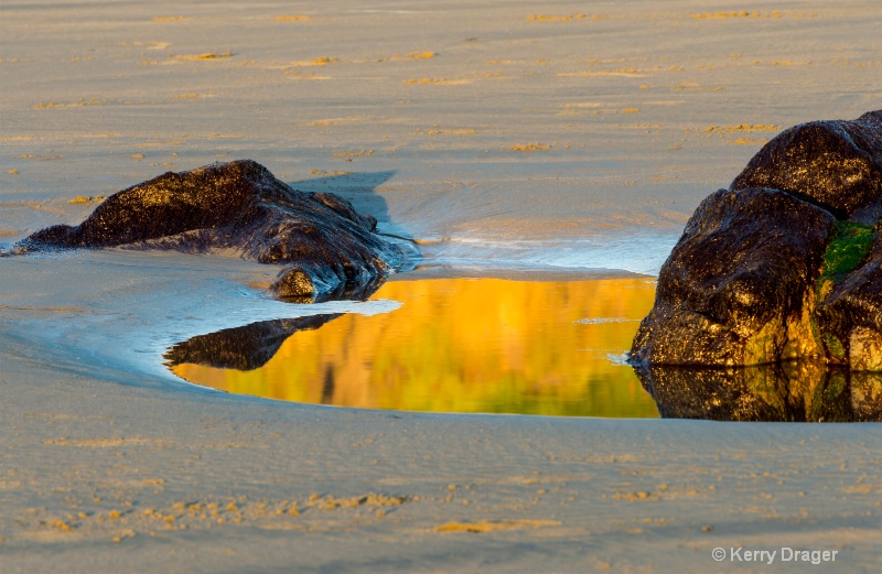 Tidal Pool Reflection