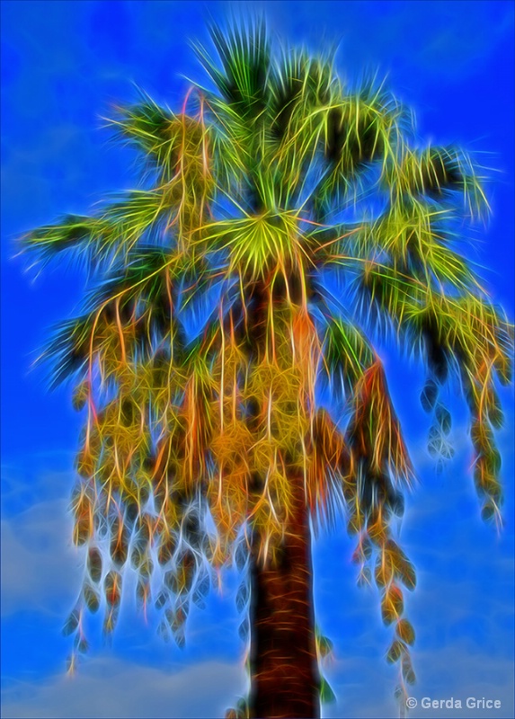 Cascading Palm
