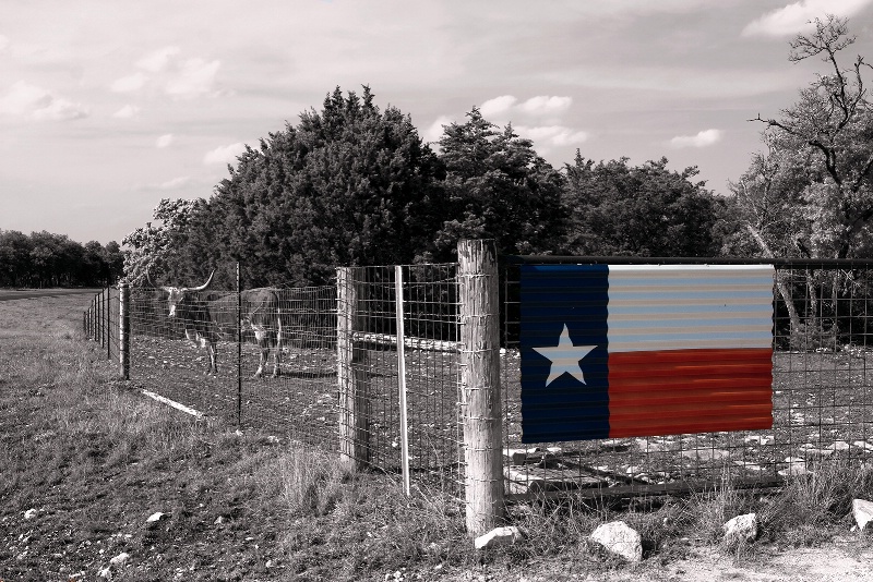 Along A Texas Highway