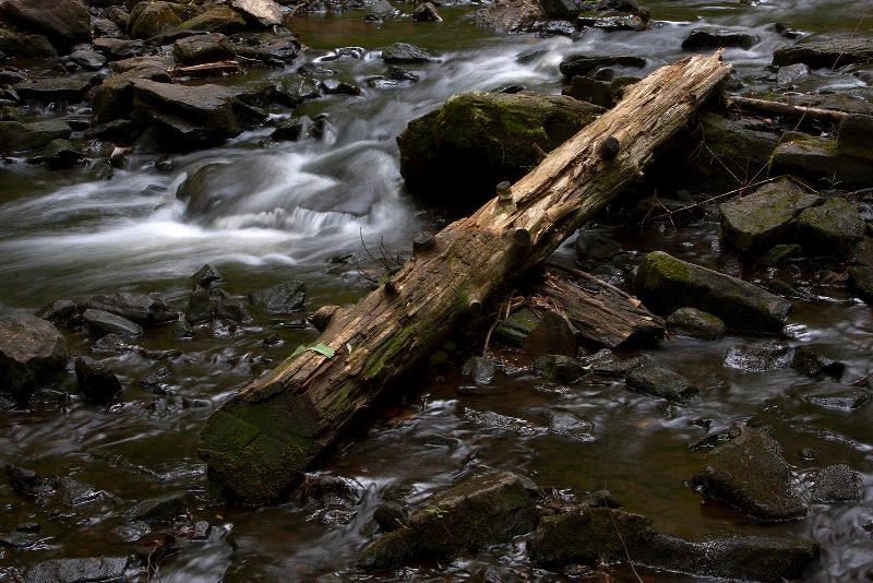 Log and Stream