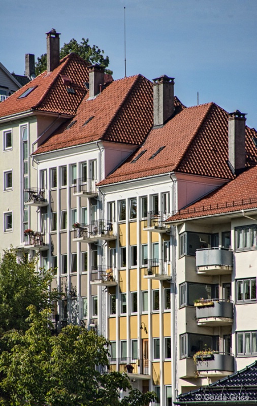 Red Roofs of Bergen, Norway