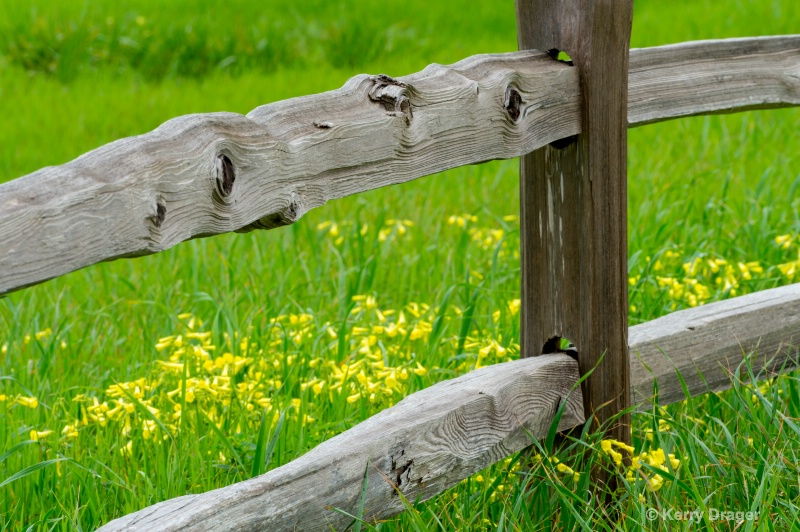 Early-Spring Landscape