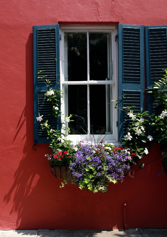 Flowers in Red