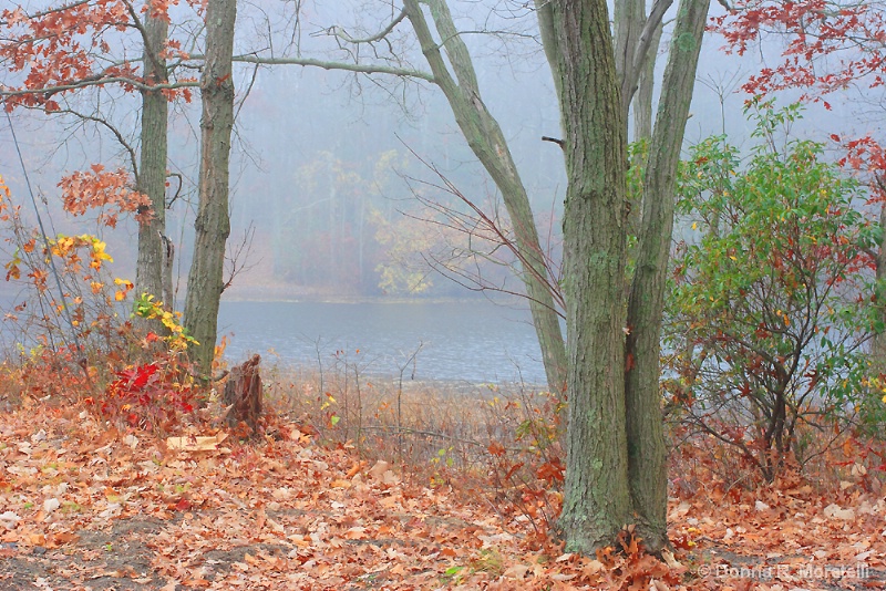 Autumn Fog at the resevoir