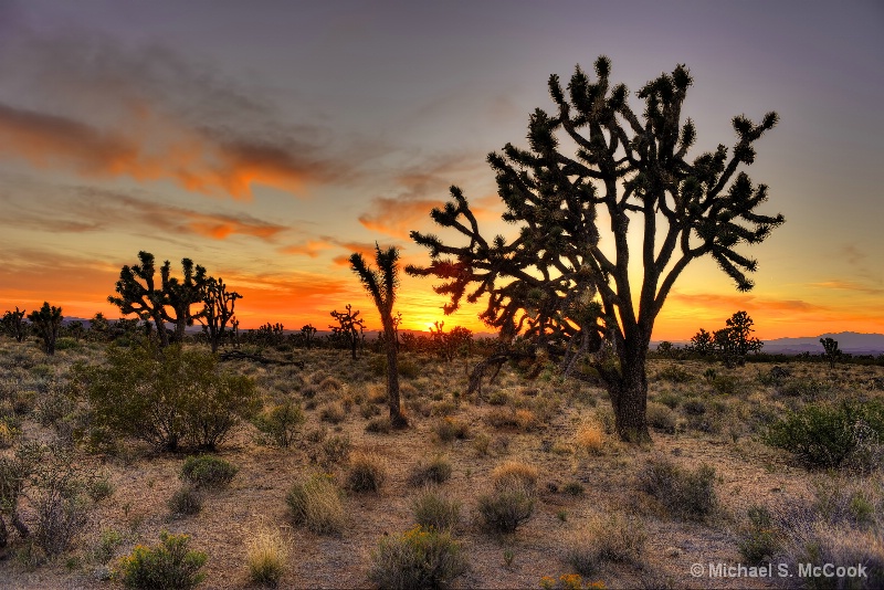 Mojave Sunset
