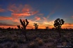 Mojave Sunset II