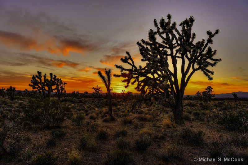 Mojave Sunset Rework