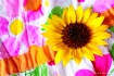 Summertime   '...