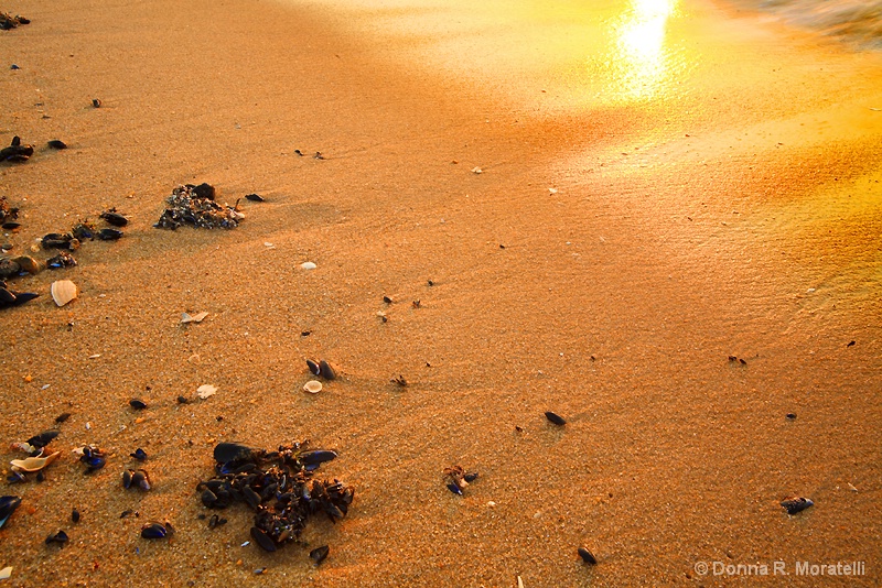 Detailed beach scene at sunrise