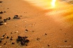 Detailed beach sc...