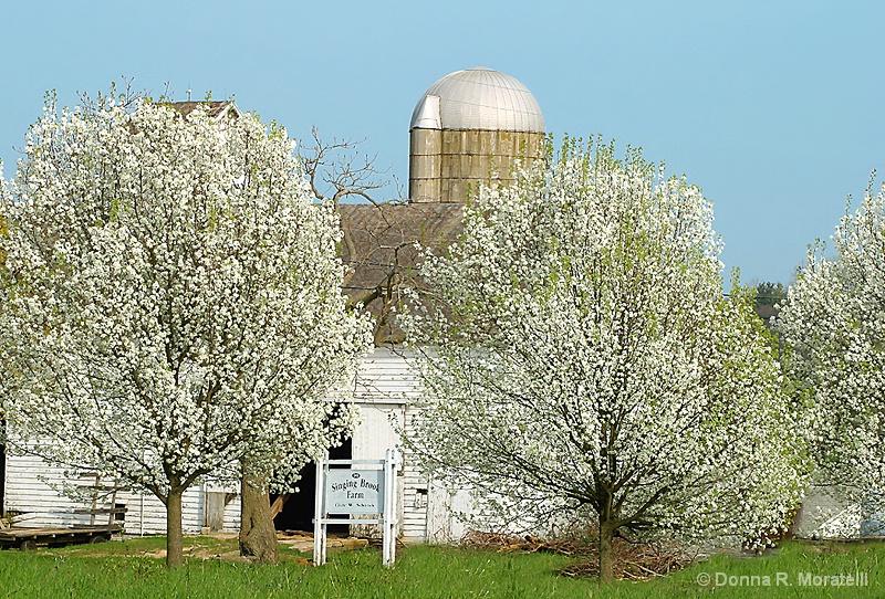 Lovely Spring day