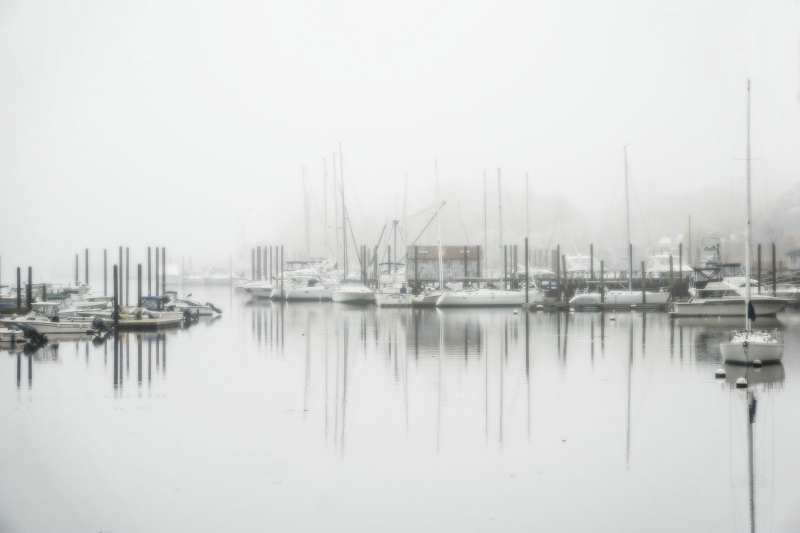 Harbor Mist