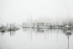Harbor Mist