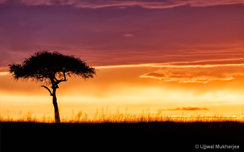 Masai Sunset