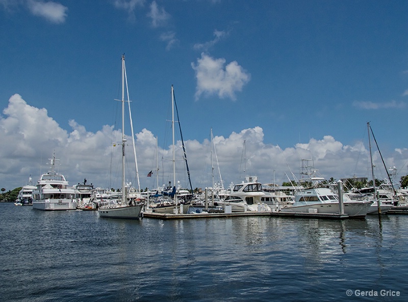 Fort Lauderdale Marina on a Sunny Day