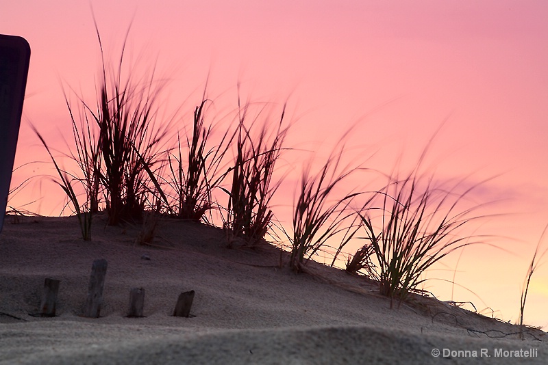 sand dune at dawn