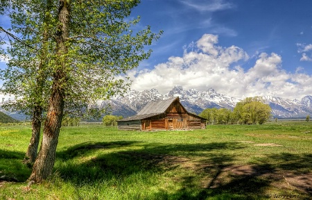 Springtime in the Tetons