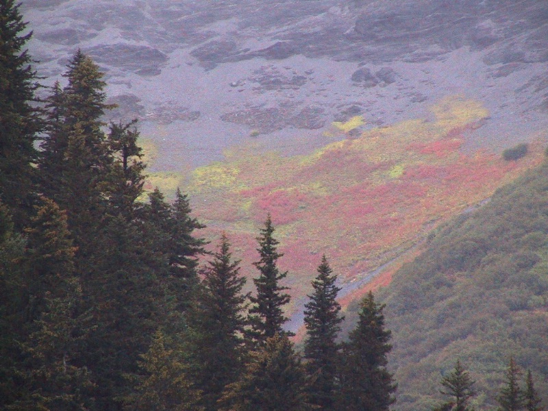 autumn in Alaska