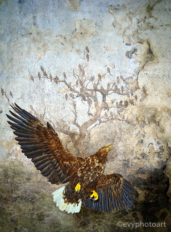 Eagle Attack