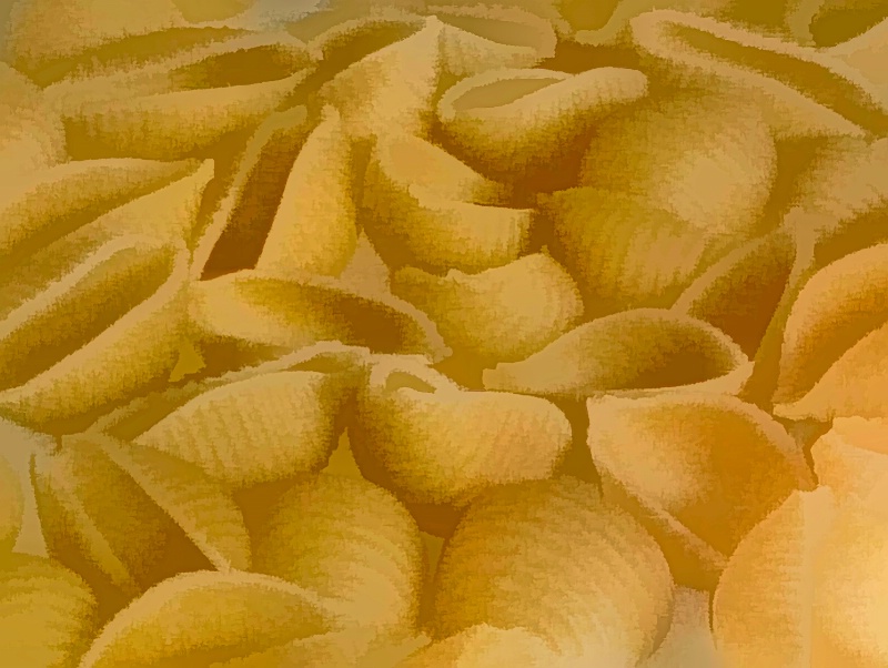 Macaroni Shells