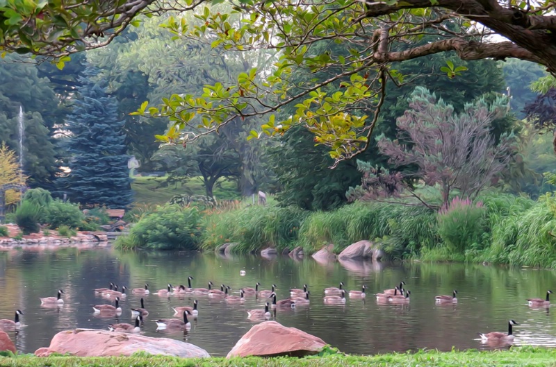 East Park Duck Pond