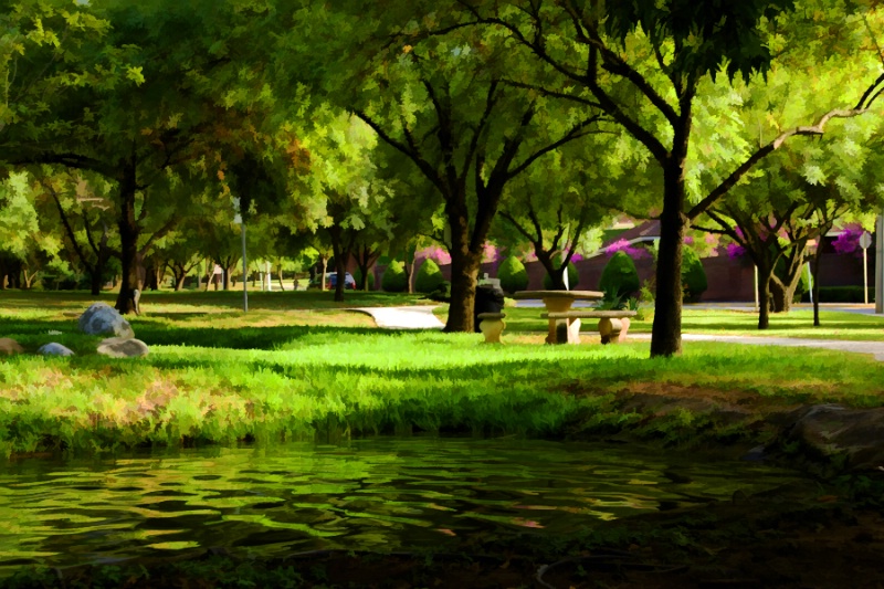 A  PEACEFUL  PARK