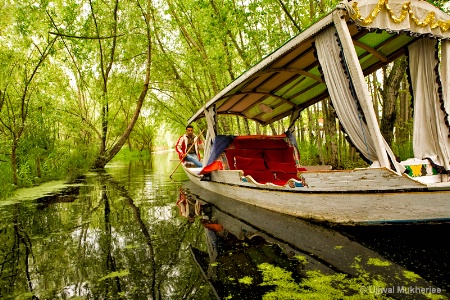 Canal Boat Ride