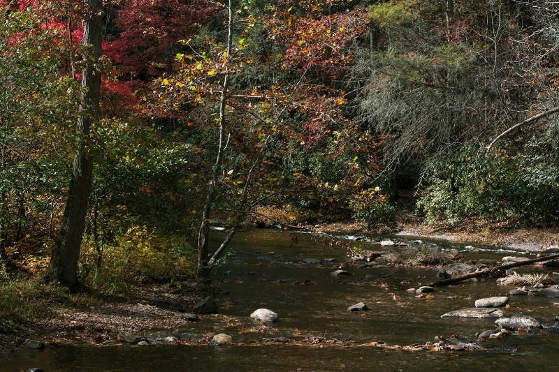 Fires Creek in Fall
