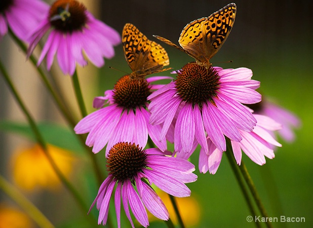 a busy day for flowers