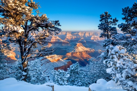 Morning Snow at the Canyon